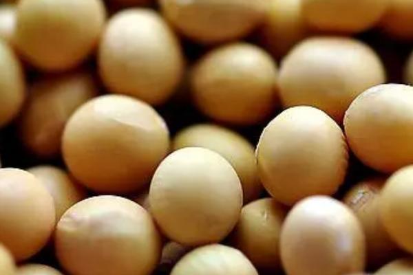 受欢迎的大豆品种有哪些，常见的有中黄35、中黄301等