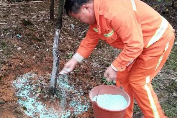 施用微生物肥料注意事项，避免在高温干旱条件下施用