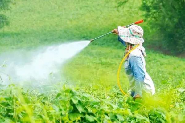 马拉硫磷农药可以杀什么虫，主要防治粘虫、蚜虫、叶蜂、食心虫等