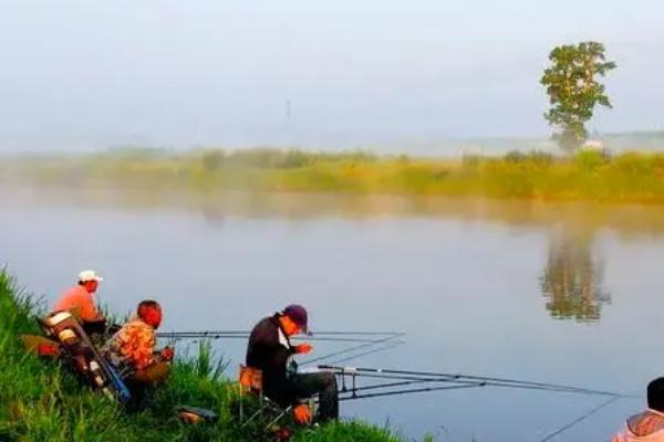 钓翘嘴鱼的最佳方法，主要有传统钓法、台钓法、路亚钓法等