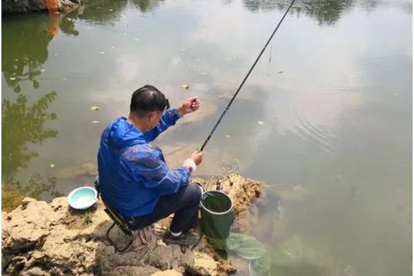 草鱼能不能钓，在风力适宜的晴天作钓成功率更高