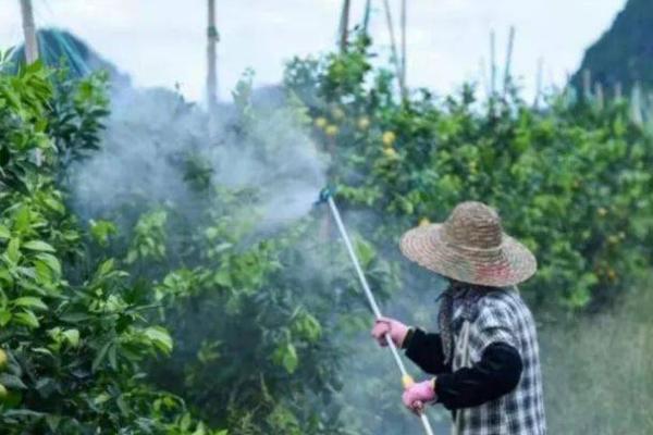 草甘膦效果和含量是否一样，甘膦效果和含量是不一样的