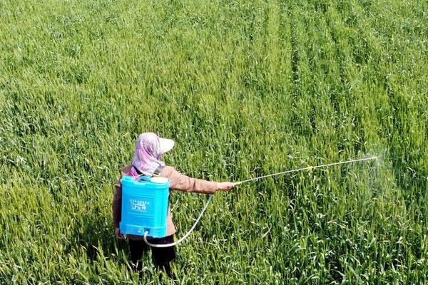 哪些农药与化肥不能混用，敌百虫、乐果等酸性农药不可以和碱性肥料混用