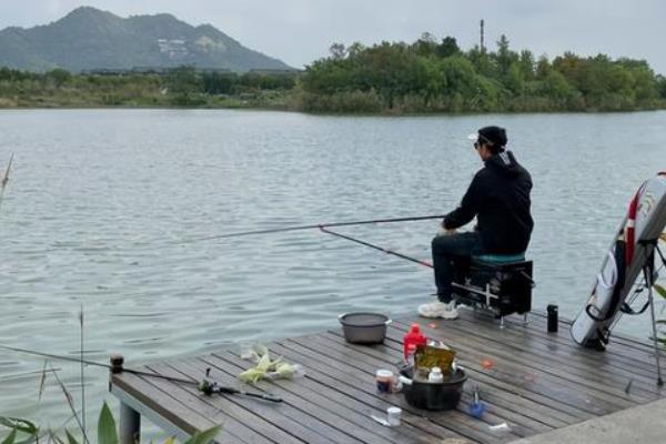 野钓用3号伊势尼好不好，可主钓大鲫鱼兼钓小个体鲤鱼或草鱼