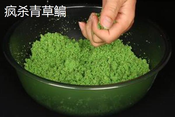 钓鳊鱼用什么商品饵料合适，可选择九一八、王者等之战青草鳊