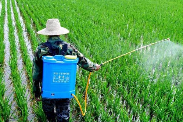 氮酮的作用机理，通过渗透让有效成分进入生物体内