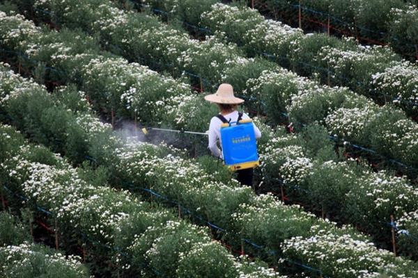 中国前十名的水溶肥，常见的有中尔、喜满地、微补等水溶肥